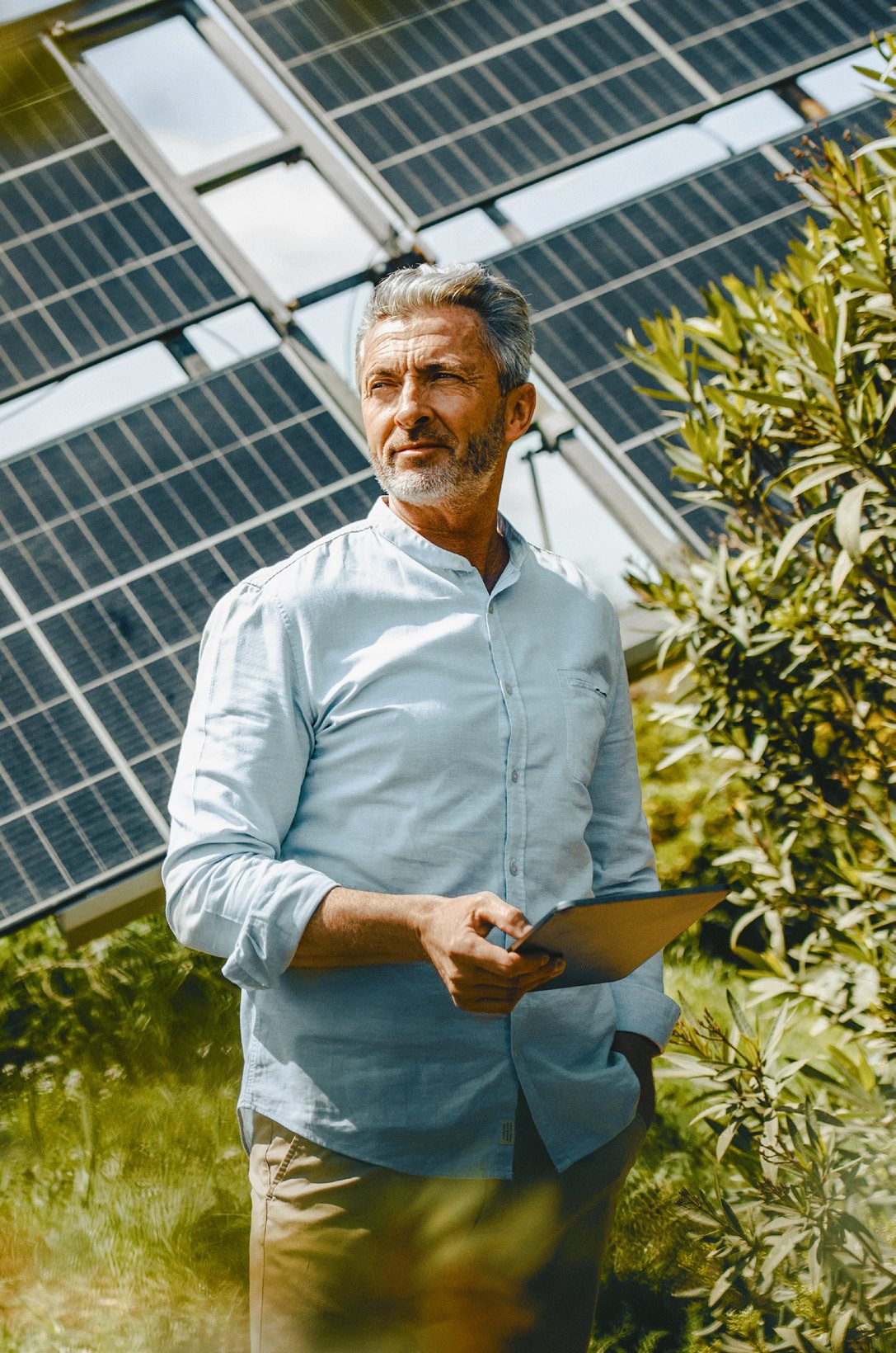 Photovoltaik-Module des Solarparks Papendorf